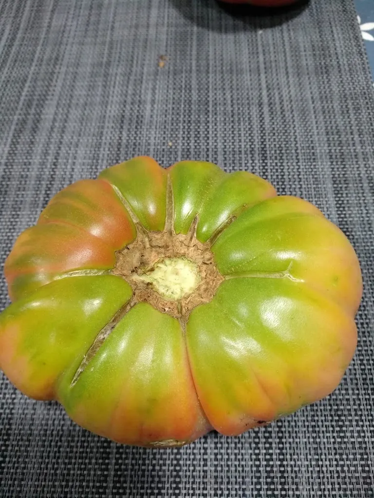 Menu_Bar El Retiro_Valverde del Fresno_image_3