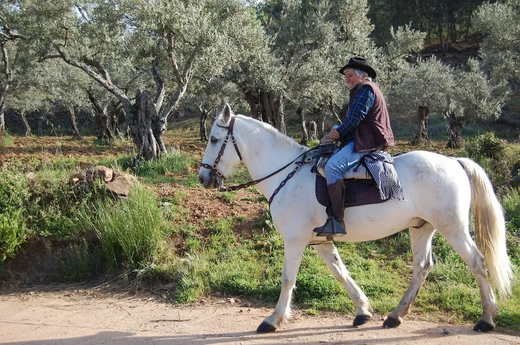 Angus_Valverde del Fresno_slider_image_2