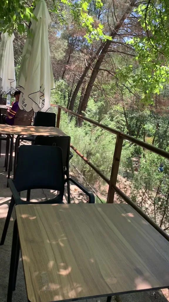 bego lopez_El Gato Verde_Villasbuenas de Gata_review