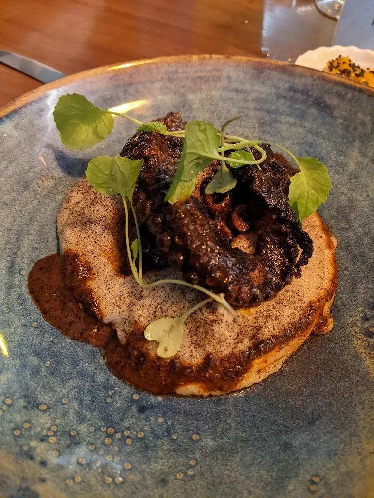 Christel Sonne_Sach'a Huaska_Santa Cruz de la Sierra_review