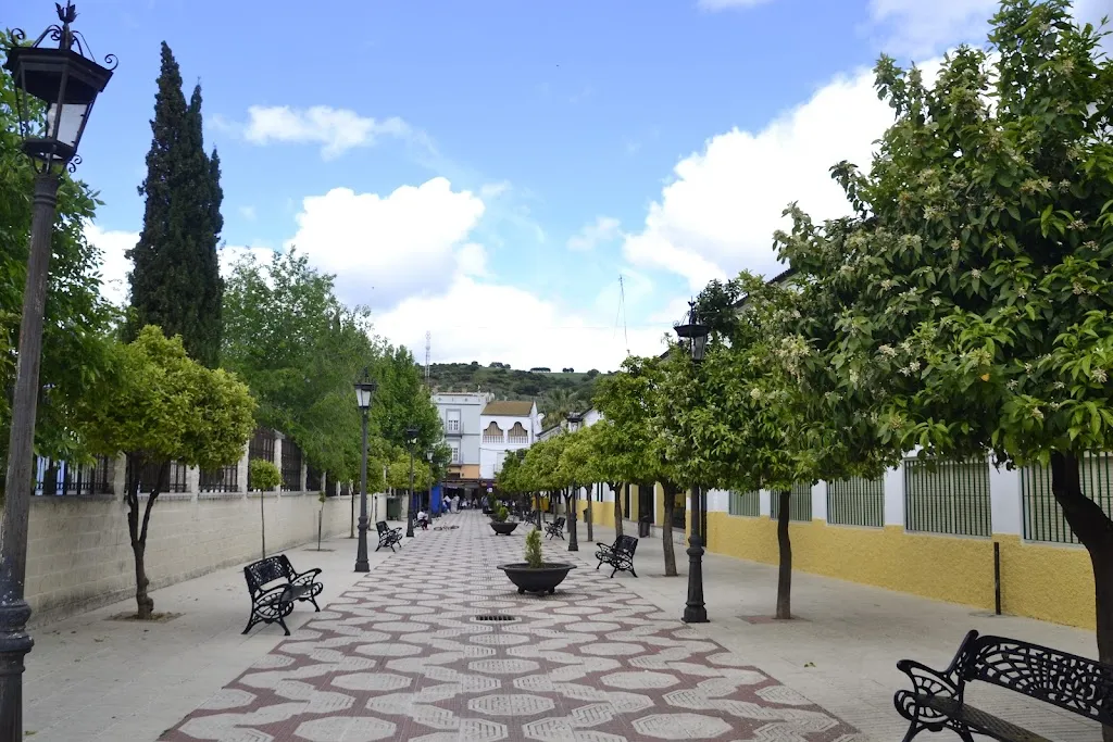 Cervercería El Sitio_Alcalá del Valle_slider_image_3