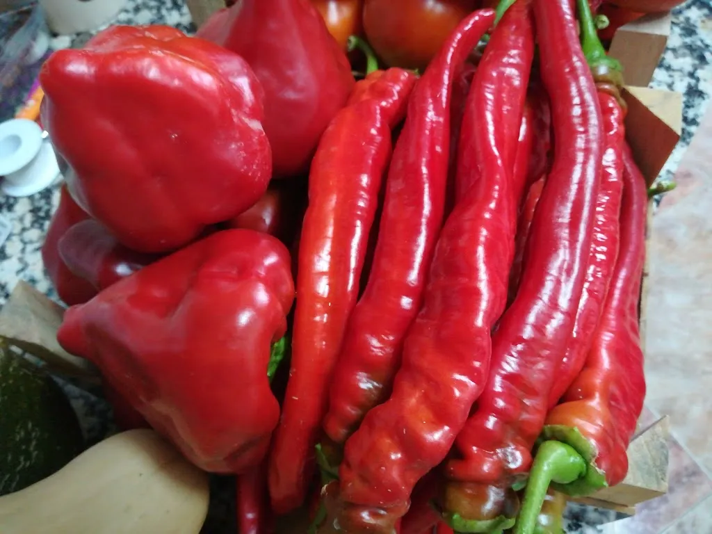 Menu_Bar Restaurante La Fonda_Zorita_image_7