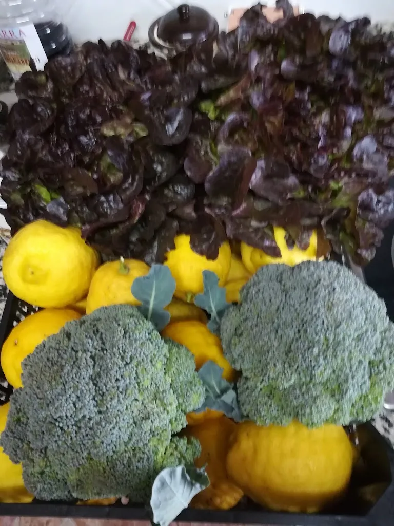 Menu_Bar Restaurante La Fonda_Zorita_image_9