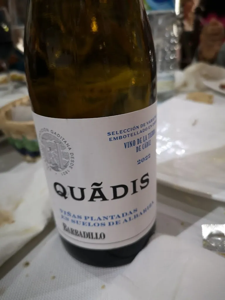 SERGIO CAVALLARO_Territorio Flamenco_Alcalá de los Gazules_review