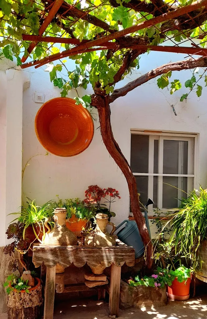 Javier Lloret_Venta Patrite_Alcalá de los Gazules_recensione