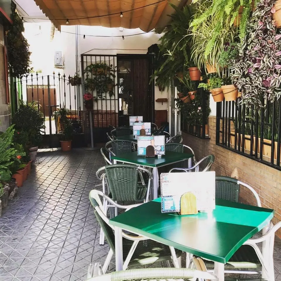 Bar Canijo ristorante a Algodonales