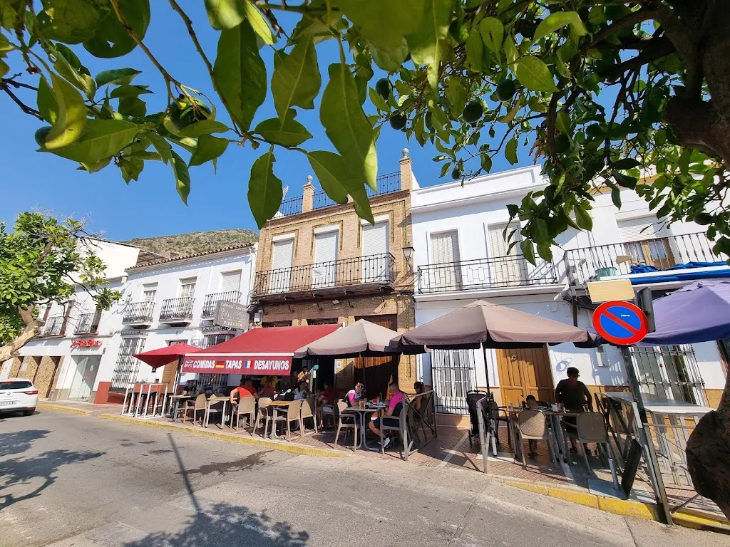 Jon Webster_Bar El Gallito_Algodonales_review