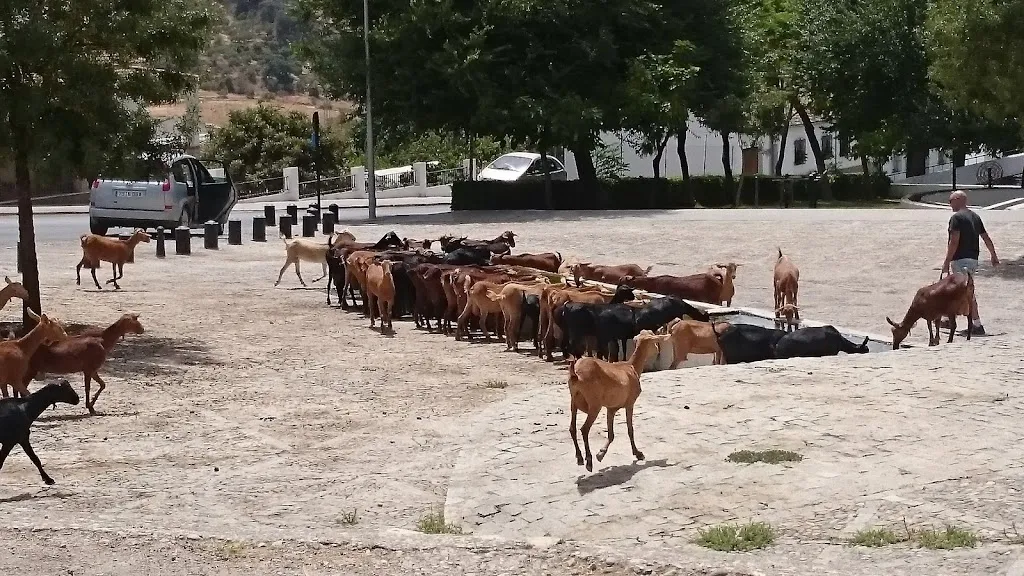 Venta fuente alta_Algodonales_slider_image_3