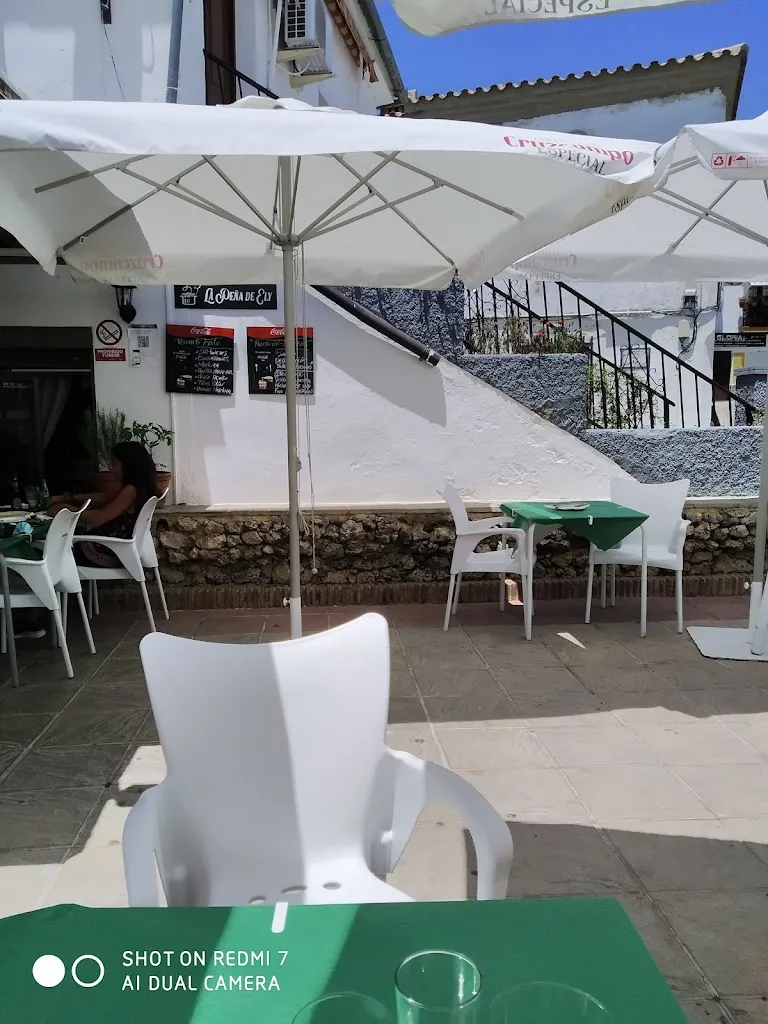 thomasgeorge Findlay_Mesón El Duque_Bosque El_review