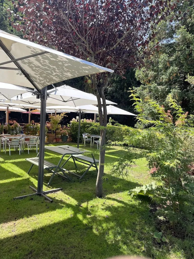 Marta Cipitria García_Casa de comidas El Bosque_Bosque El_review