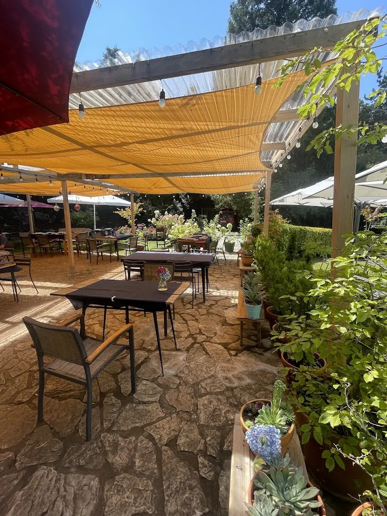 Jose Moratinos_Casa de comidas El Bosque_Bosque El_review