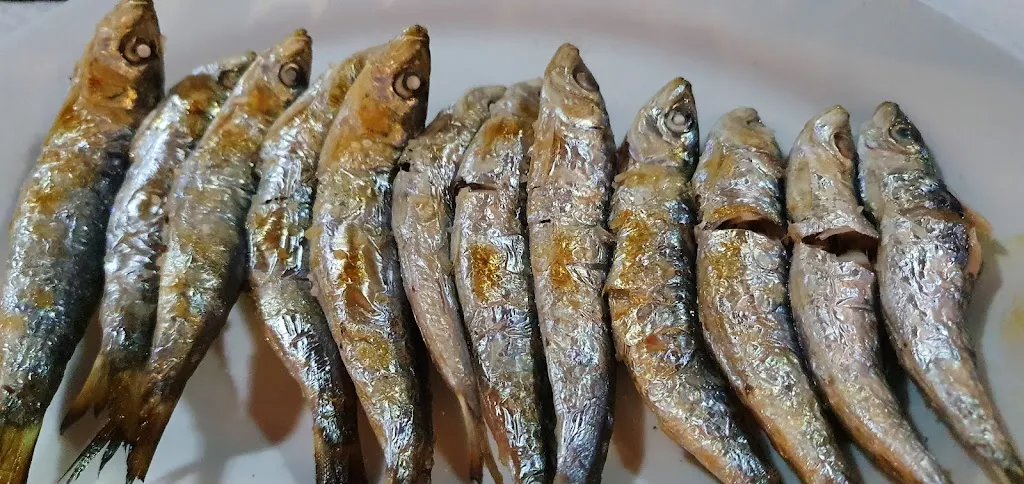 Menu_Bar Los Pulpos, Algeciras_Algeciras_image_5