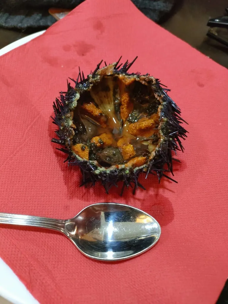 Sergio Briones_Restaurante Cafe Bar 