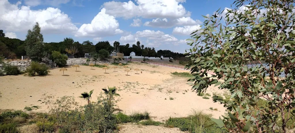 CHRISSO FPV_La Playita de Bornos_Bornos_recensione