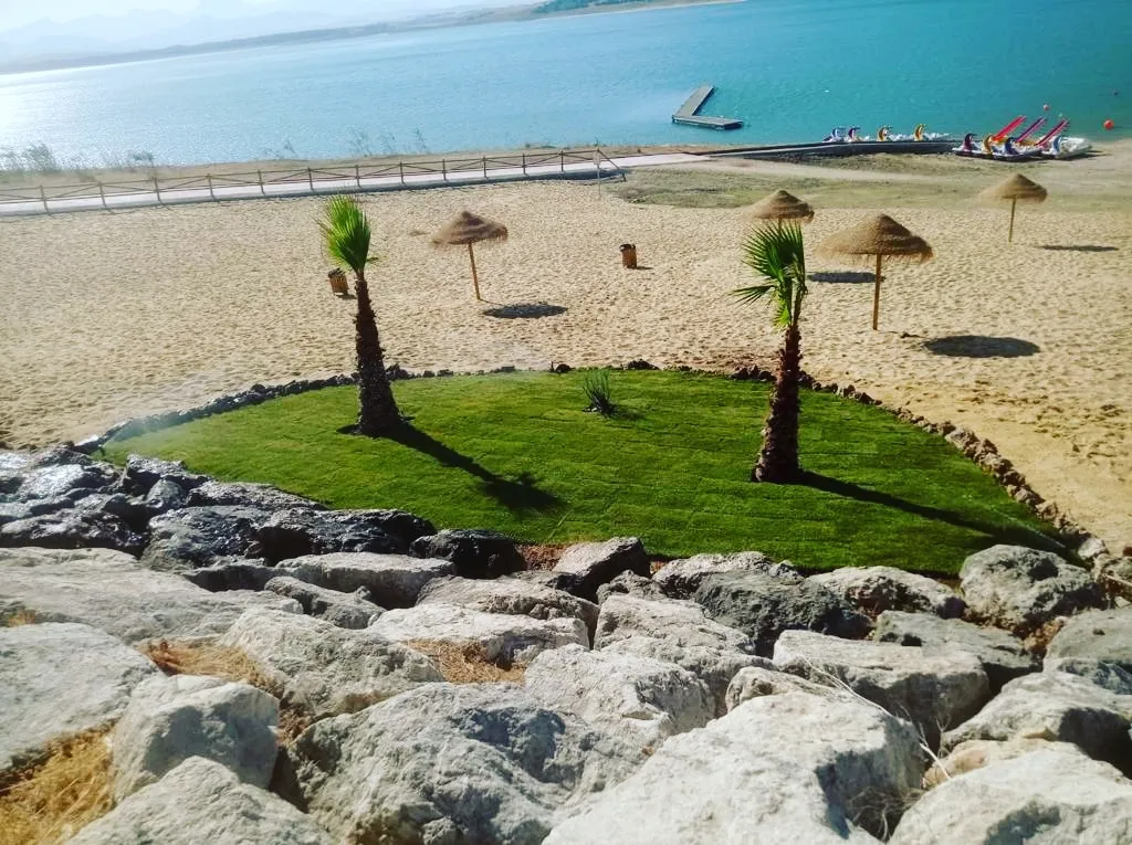 La Playita de Bornos restaurant in Bornos