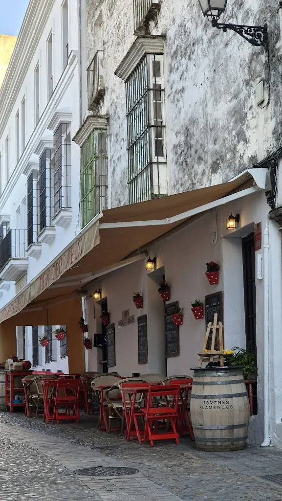 cora sild_Taberna Jóvenes Flamencos_Arcos de la Frontera_review