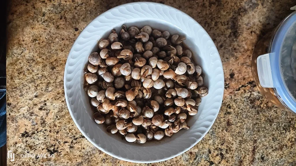 Menu_El talento_Barbate_image_7