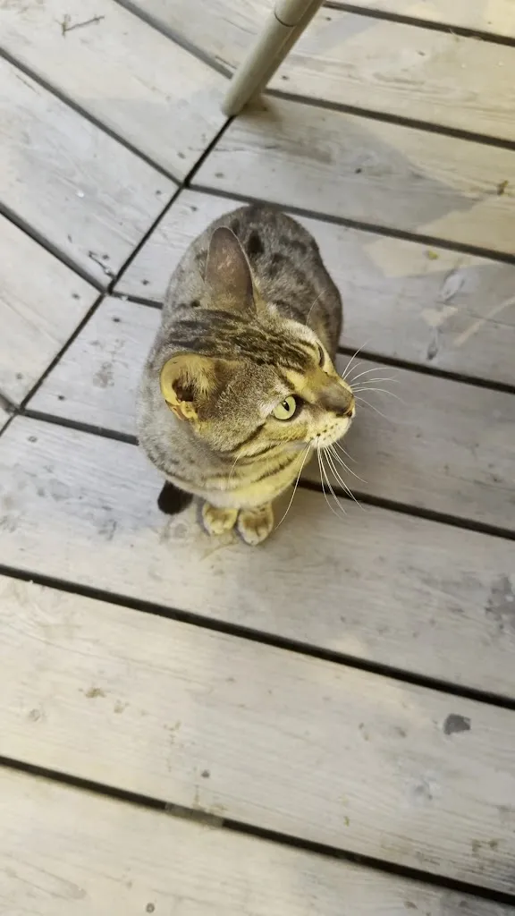 Аксинья Гуревич_LA TRAIÑA de Zahora_Barbate_review