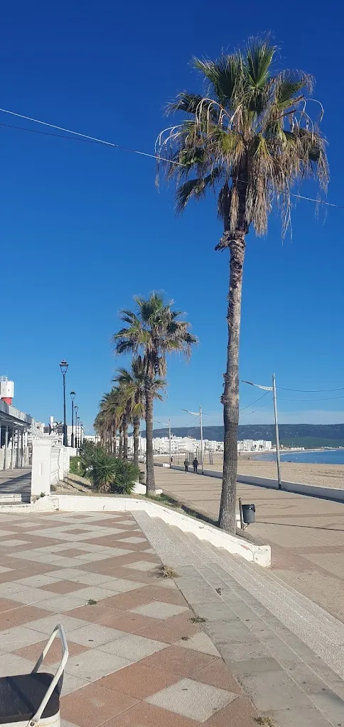 Thomas Schulze_Bar El Gordo_Barbate_review