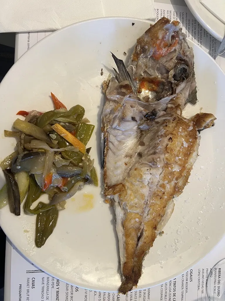 Doris Christina Becker_Venta Curro_Barbate_review