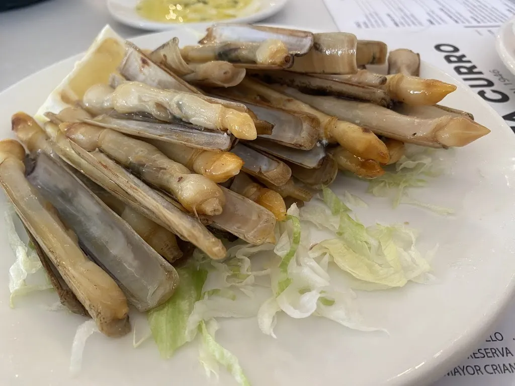 Venta Curro_Barbate_slider_image_3