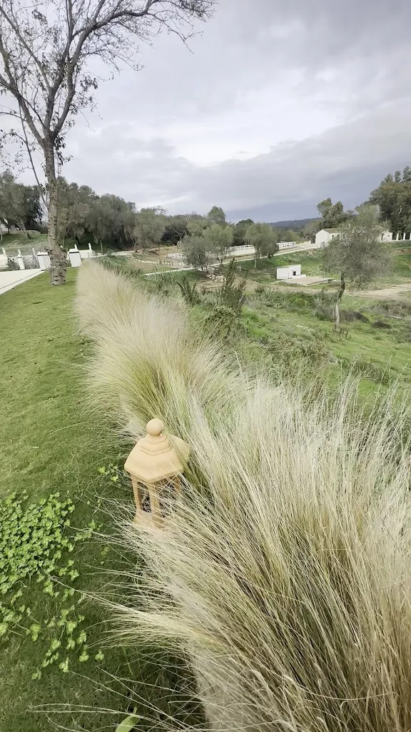 Hamayun Nawaz_La Gañanía_Castellar de la Frontera_review