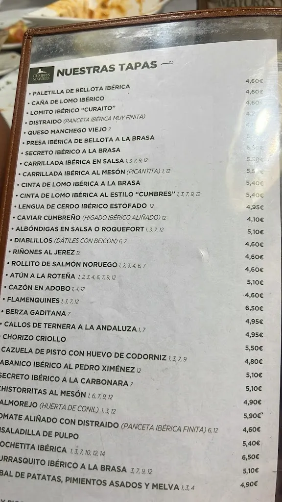 Menu_Mesón Cumbres Mayores_Cadiz_image_3
