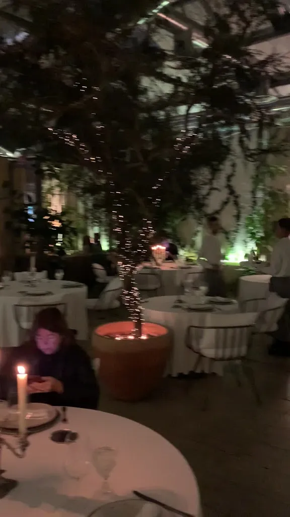 Juan Martin Maglione_Restaurante Ovillo_Trazo_review