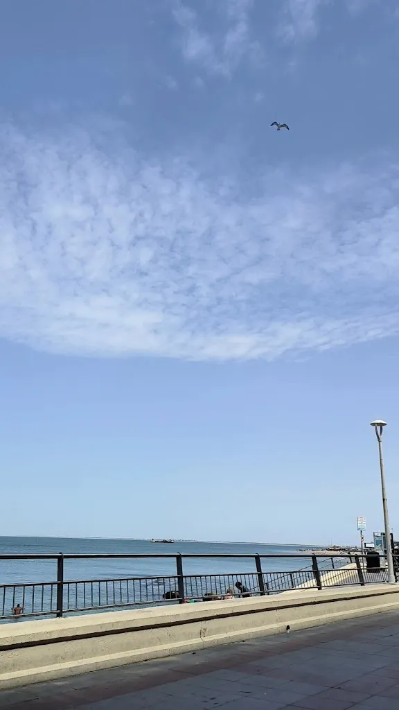 Go With Prim_Bar Las Cañas_Chipiona_review