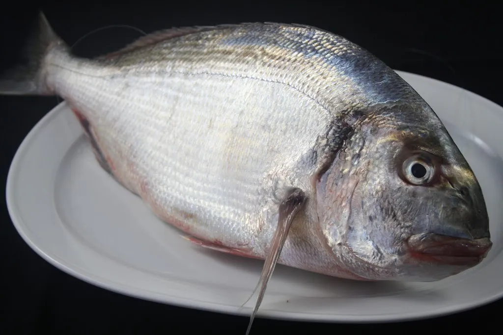 Menu_VENTA AURELIO - CHIPIONA -_Chipiona_image_5