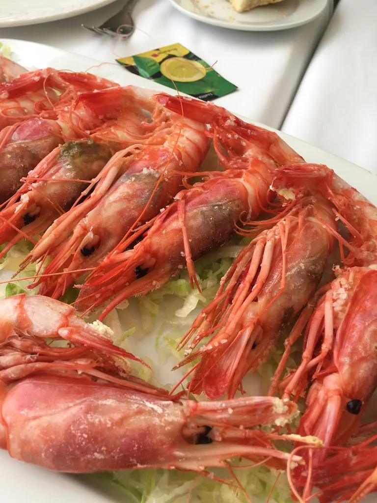 Jeroen Doucet_Restaurante Casa Paco_Chipiona_review