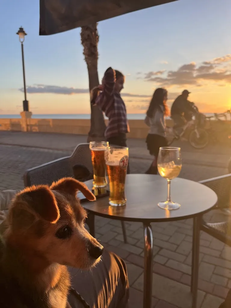 Car Car La la la la_The Trinity Irish Bar_Chipiona_review