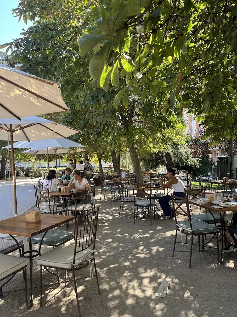 Elena Tomasella_La Bientirada Berlin_Trazo_review