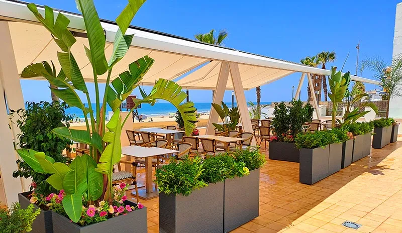 Restaurante Mambo Gastro Chill_Chipiona_slider_image_3