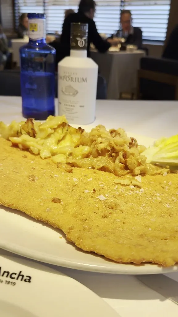 Romina Kaboorani_La Ancha_Trazo_review