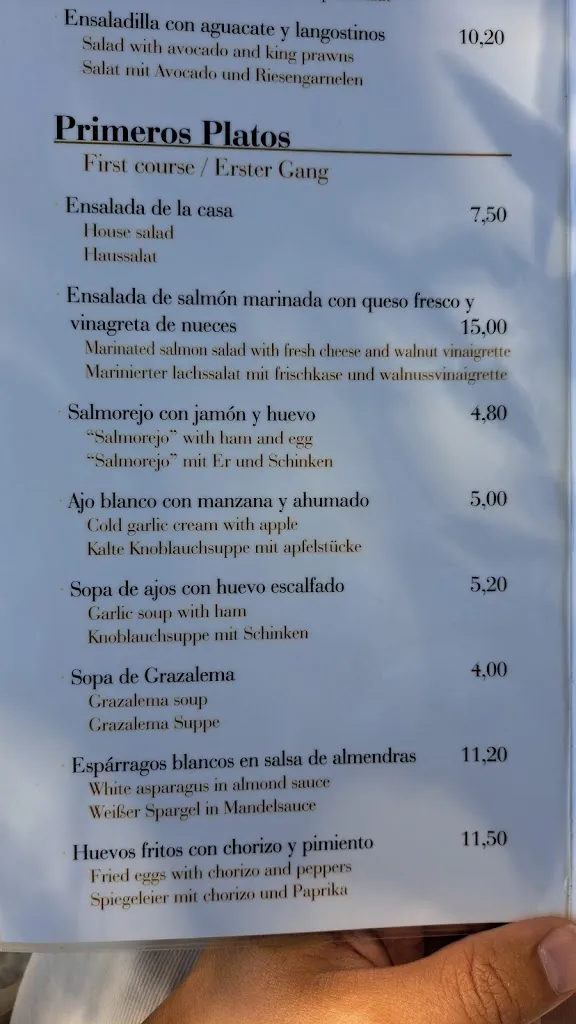 Menu_Mesón Los Alamillos_Grazalema_image_3