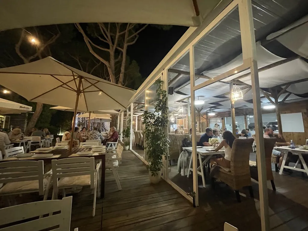 Jose Borrego_El Molino Playa_Chiclana de la Frontera_review