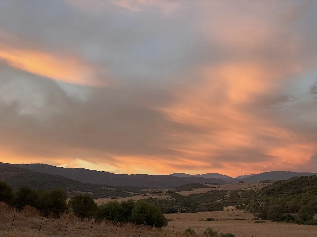 Manchester & Bolton Osteopathic Clinic_RESTAURANTE CUENCA_Jimena de la Frontera_review