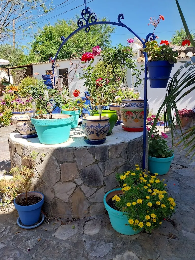 Jolanta_Bar Restaurante El vaquero_Jimena de la Frontera_review