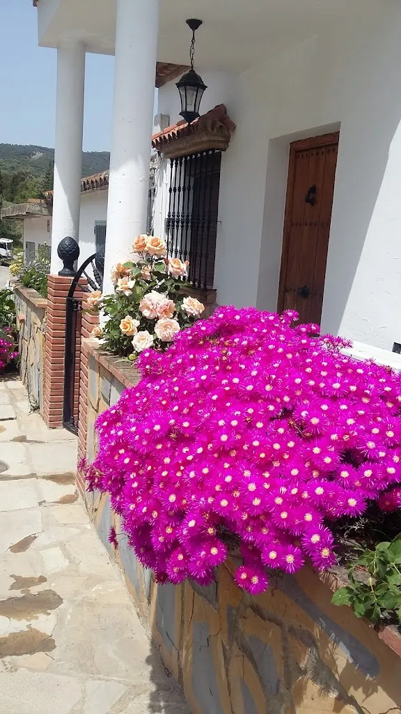 La Cuadra restaurant in Jimena de la Frontera
