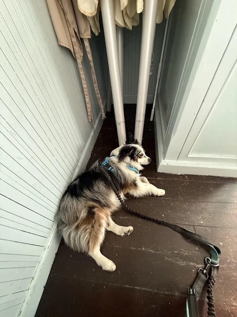 Jack T_Controvento_Medina-Sidonia_review