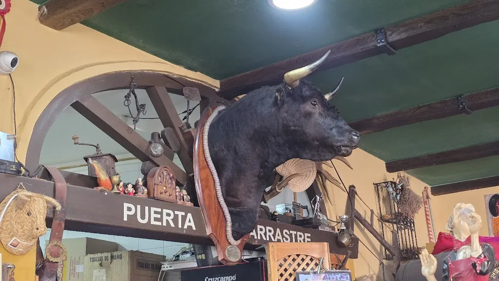 Francesca Soto-Ruiz_Las Banderillas_Jerez de la Frontera_Bewertung