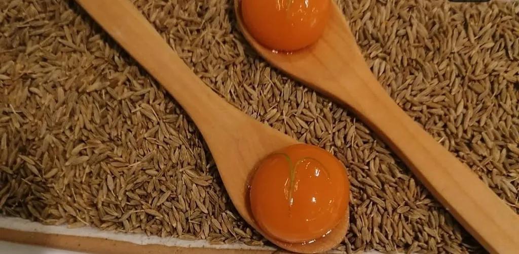 Menu_Mantúa | Israel Ramos | Restaurante Jerez de la Frontera_Jerez de la Frontera_image_9