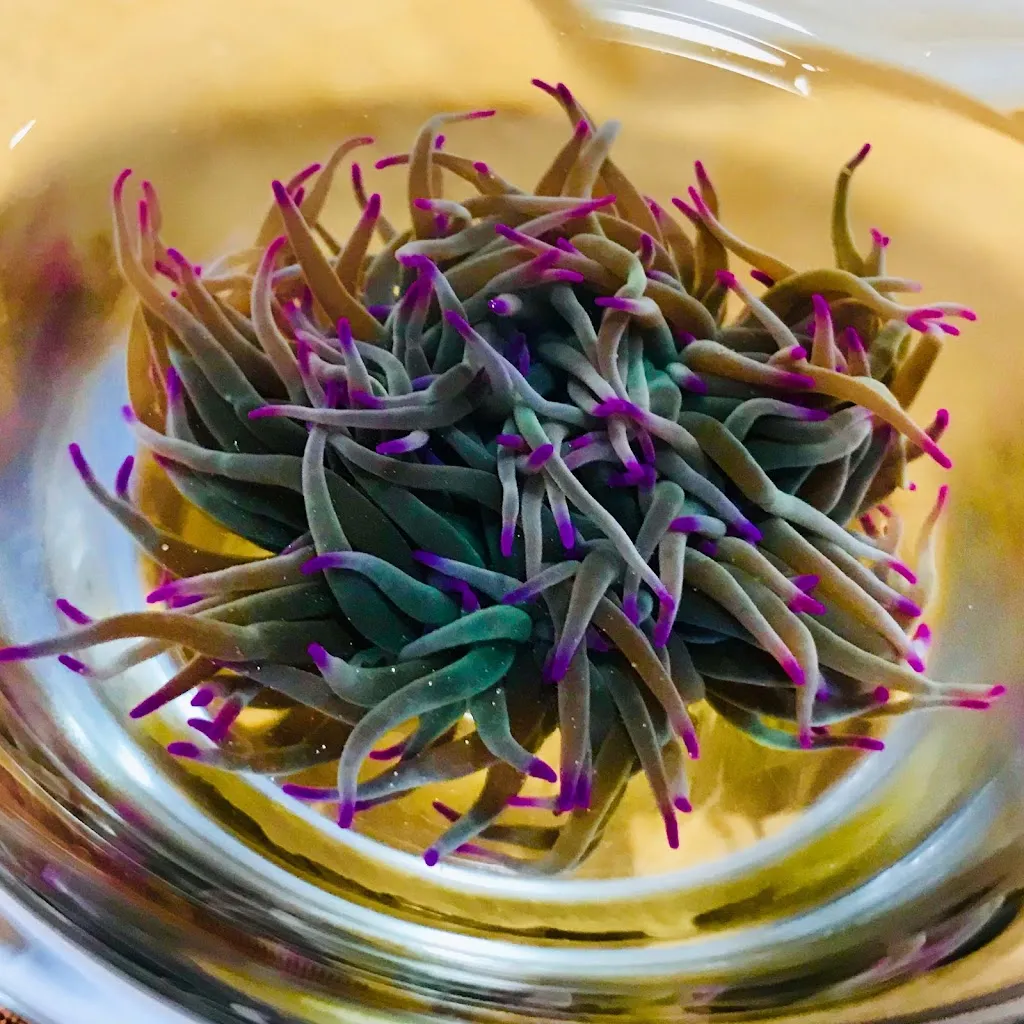 Bar Arturo_Jerez de la Frontera_slider_image_3