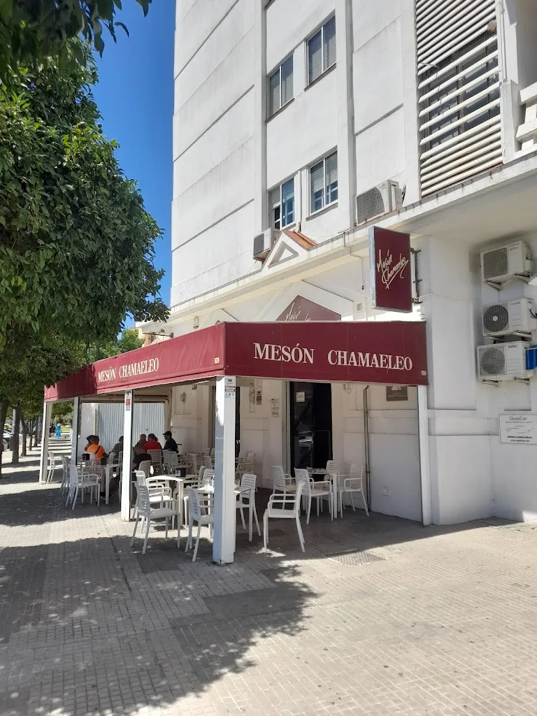 Mesón Chamaeleo_Jerez de la Frontera_slider_image_1