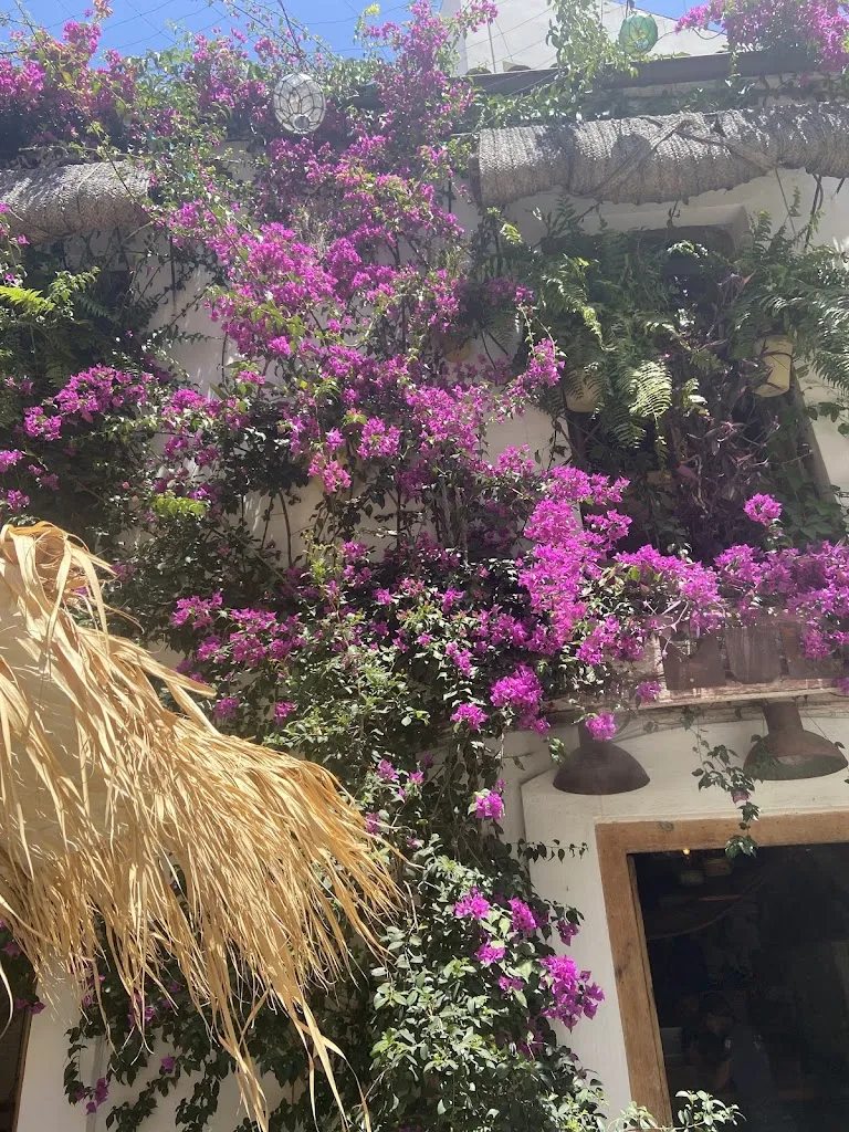 Celia Falcón_Restaurante Mulai_Jerez de la Frontera_Bewertung