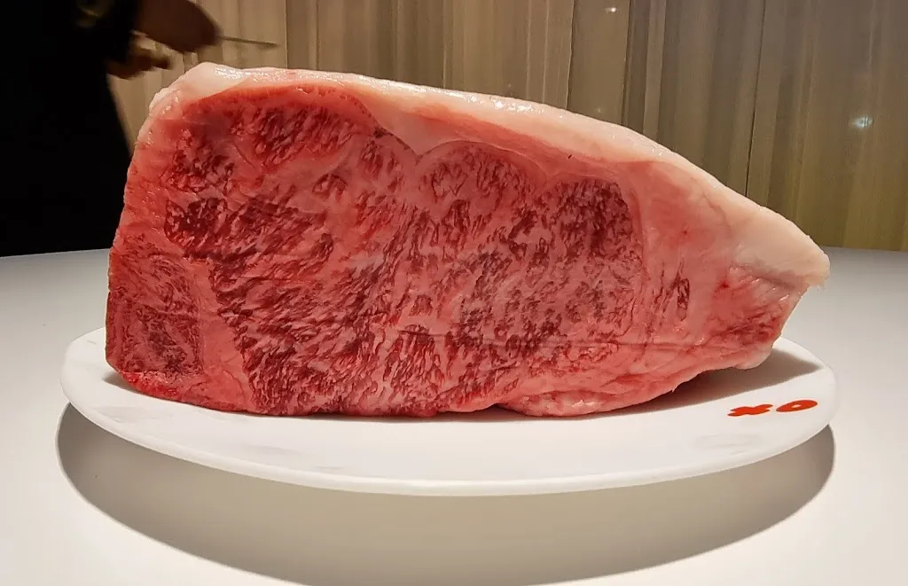 Menu_DiverXO_Trazo_image_5