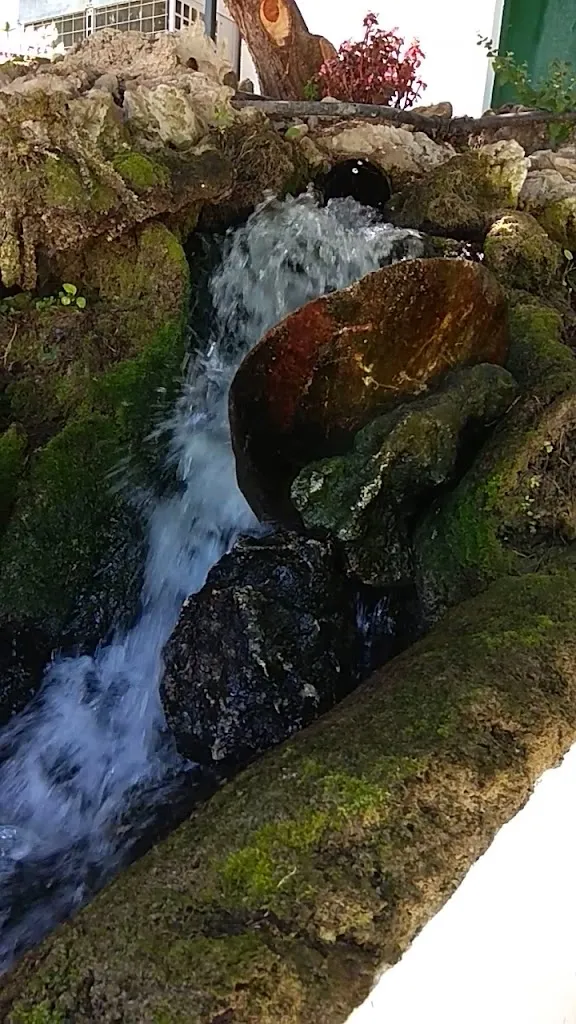 Hotel del Carmen restaurant in Prado del Rey