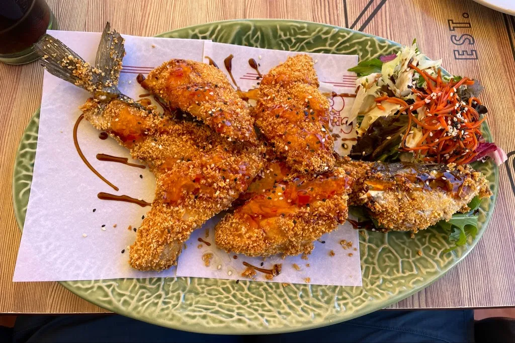 N.O.D Musik_El Corral de la Pacheca_Olvera_review