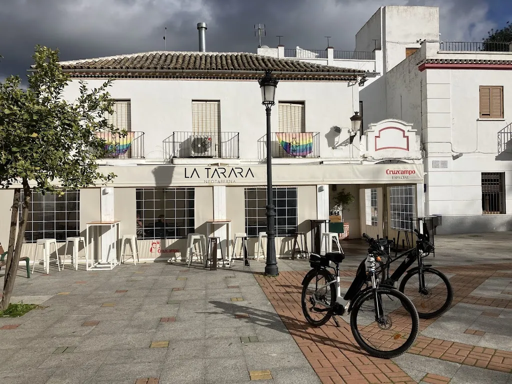 Martina O Kelly_La Tarara Neotaberna_Olvera_review